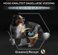 Pro Plan Graanvrij Medium & Large Adult Sensitive Digestion - Honden Droogvoer- Kalkoen - 12 Kg 39 Pro Plan Graanvrij Medium & Large Adult Sensitive Digestion - Honden Droogvoer- Kalkoen - 12 Kg -Hondenartikelen Serie Winkel 1200x1146 5