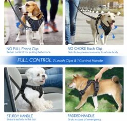 Nobleza 42ZHW - Hondenharnas - Hondentuigje - Anti Trek - S - Zwart 12 Nobleza 42ZHW - Hondenharnas - Hondentuigje - Anti Trek - S - Zwart -Hondenartikelen Serie Winkel 1200x1146 52