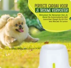 VEDIC® - Automatische Ballenwerper - Hondenspeelgoed - Ballenschieter Voor Honden -Hondenartikelen Serie Winkel 1200x1146 58
