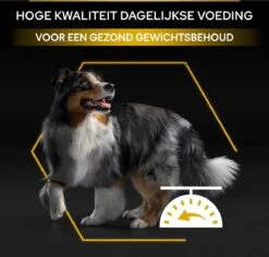 Pro Plan All Sizes Adult Light/Sterilised - Honden Droogvoer - Kip- 3 Kg -Hondenartikelen Serie Winkel 1200x1146 9