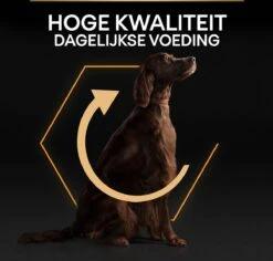 Pro Plan Everyday Nutrition Large Athletic Adult - Honden Droogvoer - Kip - 14 Kg -Hondenartikelen Serie Winkel 1200x1147 1