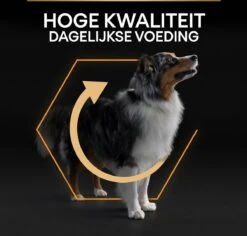 Pro Plan Medium Adult Everyay Nutrition - Honden Droogvoer - Kip - 14 Kg -Hondenartikelen Serie Winkel 1200x1147 2