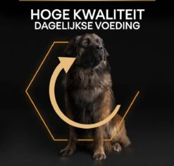 Pro Plan Everyday Nutrition Large Robust Adult - Honden Droogvoer - Kip - 14 Kg 29 Pro Plan Everyday Nutrition Large Robust Adult - Honden Droogvoer - Kip - 14 Kg -Hondenartikelen Serie Winkel 1200x1147 4