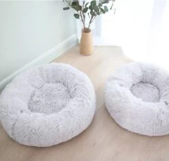 Bonbox Shop - Maat S - Donut Bed In Wit - Dierenmand Voor Katten, Kittens En Kleine Honden - Knus Mandje - Donutbed Diameter 40 Cm - Anti Anxiety 9 Bonbox Shop - Maat S - Donut Bed In Wit - Dierenmand Voor Katten, Kittens En Kleine Honden - Knus Mandje - Donutbed Diameter 40 Cm - Anti Anxiety -Hondenartikelen Serie Winkel 1200x1147 8