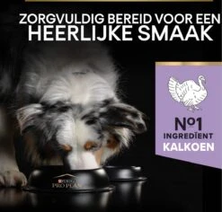 Pro Plan Graanvrij Medium & Large Adult Sensitive Digestion - Honden Droogvoer- Kalkoen - 12 Kg 36 Pro Plan Graanvrij Medium & Large Adult Sensitive Digestion - Honden Droogvoer- Kalkoen - 12 Kg -Hondenartikelen Serie Winkel 1200x1148