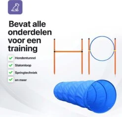 Tavaro Agility Voor De Hond - Honden Training - Hondentunnel - Springhoepel - Horde - Slalom - Honden Behendigheid Trainingsset -Hondenartikelen Serie Winkel 1200x1150 25