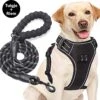 Filo Anti Trek Hondentuig L Met Hondenriem - Y Tuig Hond - Easy Walk Hondenharnas Large + Hondenlijn - Hondentuigje Verstelbaar - Leiband - Honden Tuigje - Riem -Hondenartikelen Serie Winkel 1200x1152 11