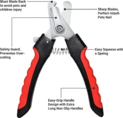 Merkloos Professionele Nagelschaar - Dieren Nagelschaar - Rood & Zwart - Honden Nagelknipper - Hondennagels - Honden Knip Schaar - Honden Knipsch 11 Merkloos Professionele Nagelschaar - Dieren Nagelschaar - Rood & Zwart - Honden Nagelknipper - Hondennagels - Honden Knip Schaar - Honden Knipsch -Hondenartikelen Serie Winkel 1200x1153 14