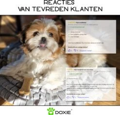 Doxie® Hondenspeelgoed – Speelgoed Hond – Snuffelmat – Antislip – Wasbaar – ⌀ 50 Cm – Lichtgrijs Met Wit -Hondenartikelen Serie Winkel 1200x1153 27