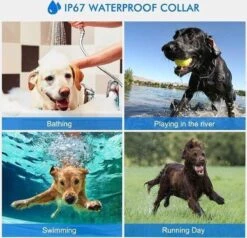 Anti Blafband EN Trainingshalsband In 1 - UNIEK SYSTEEM - 1000m Bereik - 100 Levels -Hondenartikelen Serie Winkel 1200x1154 4