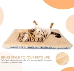 Nobleza Fluffy Benchkussen - Dierenkussen - Hondenkussen - Kattenkussen - Benchmat - Dierenmat - Hondenmat - Kattenmat - Crème - Maat L -Hondenartikelen Serie Winkel 1200x1156 2