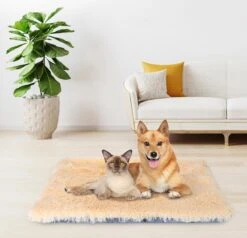 Nobleza Fluffy Benchkussen - Dierenkussen - Hondenkussen - Kattenkussen - Benchmat - Dierenmat - Hondenmat - Kattenmat - Crème - Maat L -Hondenartikelen Serie Winkel 1200x1156 3