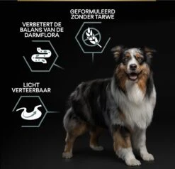 Pro Plan Graanvrij Medium & Large Adult Sensitive Digestion - Honden Droogvoer- Kalkoen - 12 Kg 37 Pro Plan Graanvrij Medium & Large Adult Sensitive Digestion - Honden Droogvoer- Kalkoen - 12 Kg -Hondenartikelen Serie Winkel 1200x1157