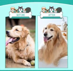 Nobleza 3 Delige Hondenborstel Set – Hondenkam - Kattenkam - Borstels – Dierverzorging - Dierenverzorging - Blauw -Hondenartikelen Serie Winkel 1200x1157 5