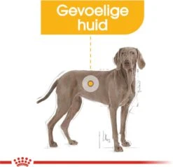 Royal Canin Dermacomfort Maxi - Hondenvoer - 12 Kg -Hondenartikelen Serie Winkel 1200x1158