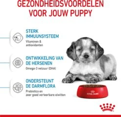 Royal Canin Medium Junior 15 KG -Hondenartikelen Serie Winkel 1200x1159 10
