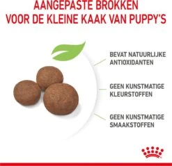 Royal Canin Medium Junior 15 KG -Hondenartikelen Serie Winkel 1200x1159 11