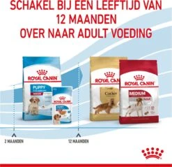 Royal Canin Medium Junior 15 KG -Hondenartikelen Serie Winkel 1200x1159 15