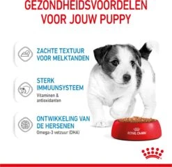 Royal Canin Shn Mini Puppy Pouch - Hondennatvoer - 12 X 85 G -Hondenartikelen Serie Winkel 1200x1159 18