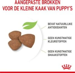 Royal Canin Mini Junior 8 KG -Hondenartikelen Serie Winkel 1200x1159 2
