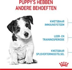 Royal Canin Mini Junior 8 KG -Hondenartikelen Serie Winkel 1200x1159