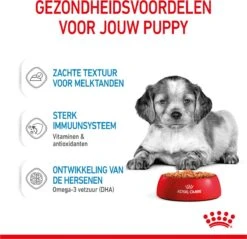 Royal Canin Shn Medium Puppy Pouch - Hondenvoer - 10 X 140 G -Hondenartikelen Serie Winkel 1200x1159 26
