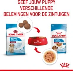 Royal Canin Shn Medium Puppy Pouch - Hondenvoer - 10 X 140 G -Hondenartikelen Serie Winkel 1200x1159 27