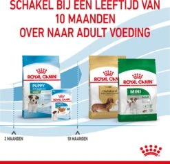 Royal Canin Mini Junior 8 KG -Hondenartikelen Serie Winkel 1200x1159 3