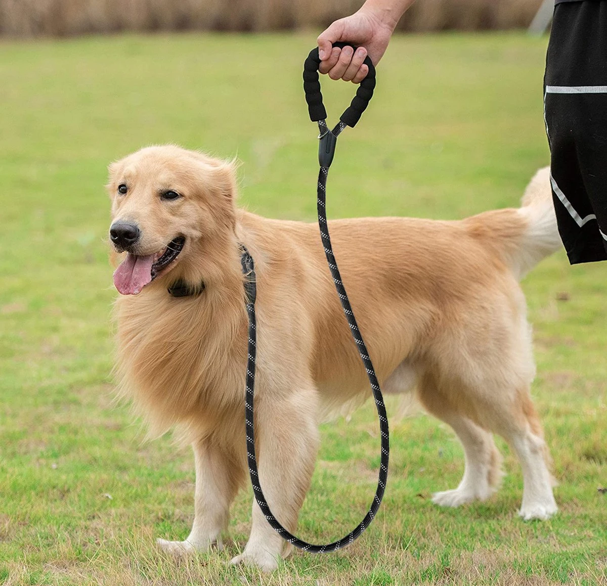 Comfortabele Hondenriem Met Gevoerd Handvat – Stevige Nylon Hondenlijn – Riem Voor Honden 8 Comfortabele Hondenriem Met Gevoerd Handvat – Stevige Nylon Hondenlijn – Riem Voor Honden - Afbeelding 6