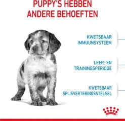 Royal Canin Medium Junior 15 KG -Hondenartikelen Serie Winkel 1200x1159 9