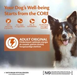 Wellness Core Grain Free Dog Original Kalkoen & Kip - Hondenvoer - 10 Kg -Hondenartikelen Serie Winkel 1200x1160 1