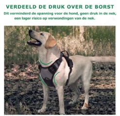 Mister Mill Hondentuigje 2x Klikgesp Maat S Grijs - Anti-Trek Tuig Hondenharnas - Y Tuig Hond Reflecterend -Hondenartikelen Serie Winkel 1200x1160 24