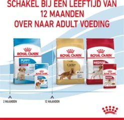 Royal Canin Shn Medium Puppy Pouch - Hondenvoer - 10 X 140 G -Hondenartikelen Serie Winkel 1200x1160 4