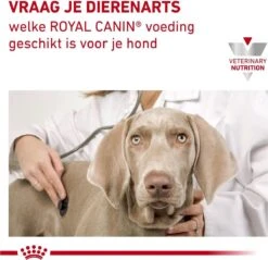 Royal Canin Hond Urinary SO 13 Kg - 21 Royal Canin Hond Urinary SO 13 Kg - -Hondenartikelen Serie Winkel 1200x1161 10