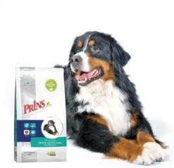 Prins Procare Croque Diet Skin & Intestinal - Hondenvoer - Eend 10 Kg -Hondenartikelen Serie Winkel 1200x1162 10