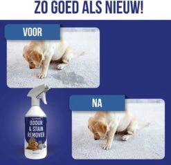 Petsly Odour & Stain Remover - Geurverwijderaars - Urine Vlekken Verwijderen Urinegeur Verwijderen Met Plantaardige Enzymen - 1L -Hondenartikelen Serie Winkel 1200x1162 18