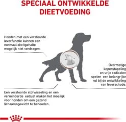 Royal Canin Hepatic Diet - Hondenvoer - 12 Kg -Hondenartikelen Serie Winkel 1200x1162 2