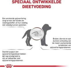 Royal Canin Gastro Intestinal Junior - Tot 12 Maanden - Hondenvoer - 10 Kg -Hondenartikelen Serie Winkel 1200x1162