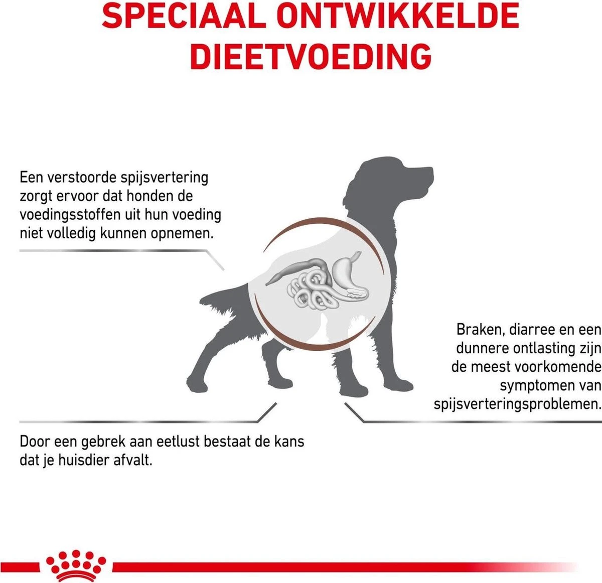 Royal Canin Gastro Intestinal Hond (GI 25) 15 Kg 7 Royal Canin Gastro Intestinal Hond (GI 25) 15 Kg - Afbeelding 5