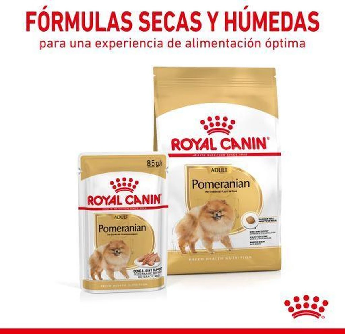Royal Canin Pomeriaan Adult - Hondenvoer - 3 Kg 10 Royal Canin Pomeriaan Adult - Hondenvoer - 3 Kg - Afbeelding 8