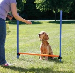 Trixie Dog Activity Agility Horde - Blauw/Oranje - 123 X 115 X 3 Cm -Hondenartikelen Serie Winkel 1200x1163 20