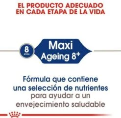 Royal Canin Maxi Ageing 8+ 15 KG 34 Royal Canin Maxi Ageing 8+ 15 KG -Hondenartikelen Serie Winkel 1200x1164