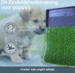 Merkloos Gtrise Hondentoilet Met 2 Matten - Out/Indoor - Zindelijkheidstraining Ebook - Dieren Wc 13 Merkloos Gtrise Hondentoilet Met 2 Matten - Out/Indoor - Zindelijkheidstraining Ebook - Dieren Wc -Hondenartikelen Serie Winkel 1200x1164 8