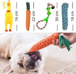 (Goedkoopste) Honden Speelgoed Set 15 Stuks Geschikt Voor Puppy's T/m Middelgrote Honden - Honden Kauw Speelgoed - 15 Stuks - Hondenspeeltjes - Intelligentie - Touw - Flostouw - Bijtring - Bal - Huisdieren Speelgoed -Hondenartikelen Serie Winkel 1200x1165 24