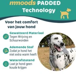 Mmoods Hondentuigje Grijs - Anti-Trek Tuig - Hondenharnas Voor Extra Grote Honden - Reflecterende Halsband Hond - Hondenhalsband Maat XL -Hondenartikelen Serie Winkel 1200x1166 18