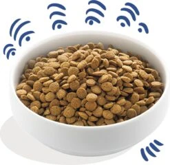 Edgard & Cooper Verse Noorse Zalm Adult - Hondenvoer - 7kg 24 Edgard & Cooper Verse Noorse Zalm Adult - Hondenvoer - 7kg -Hondenartikelen Serie Winkel 1200x1166 2