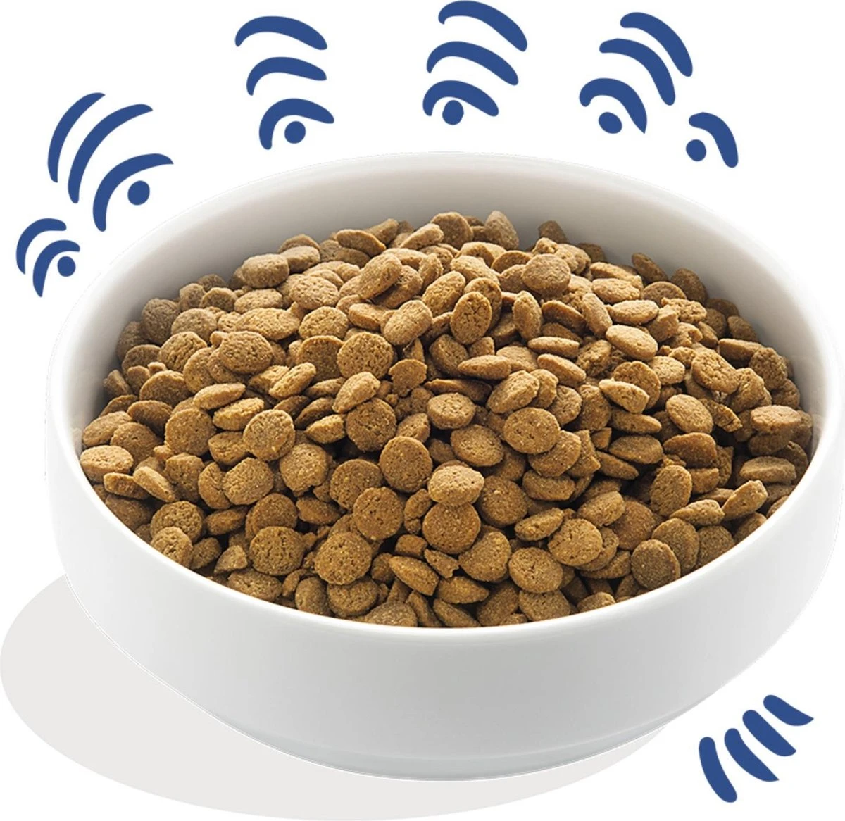 Edgard & Cooper Verse Noorse Zalm Adult - Hondenvoer - 7kg 5 Edgard & Cooper Verse Noorse Zalm Adult - Hondenvoer - 7kg - Afbeelding 3