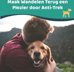Mmoods Hondentuigje Grijs - Anti-Trek Tuig - Hondenharnas Voor Grote Honden- Reflecterende Halsband Hond - Hondenhalsband Maat L -Hondenartikelen Serie Winkel 1200x1166 22