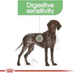 Royal Canin Digestive Care Maxi - Hondenvoer - 12 Kg 17 Royal Canin Digestive Care Maxi - Hondenvoer - 12 Kg -Hondenartikelen Serie Winkel 1200x1167 2