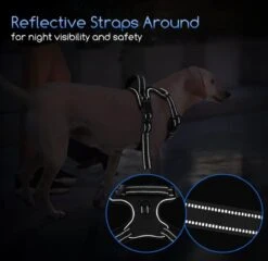 Nobleza 42ZHW - Hondenharnas - Hondentuigje - Anti Trek - S - Zwart 15 Nobleza 42ZHW - Hondenharnas - Hondentuigje - Anti Trek - S - Zwart -Hondenartikelen Serie Winkel 1200x1167 26